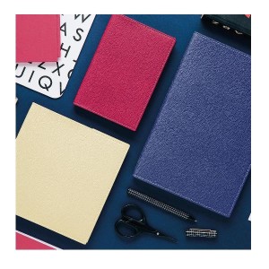 AGENDA PROFESSORE IT CLUB LAMPONE