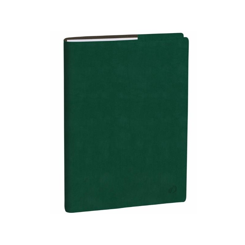 AGENDA PROFESSORE IT CLUB VERDE ING