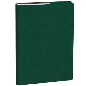 AGENDA PROFESSORE IT CLUB VERDE ING