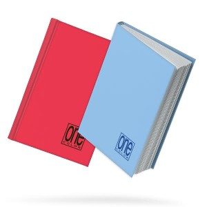 CF6 DIARIO TEEN 12 MESI 336 FOGLI 80 GR COPERTINA RIGIDA 13X18 COLORI ASSORTITI