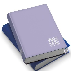 CF6 DIARIO TEEN 12 MESI 336 FOGLI 80 GR COPERTINA RIGIDA 13X18 COLORI ASSORTITI